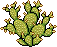 wildwest_cactus1
