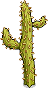 wildwest_cactus2