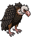 wildwest_vulture