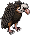 wildwest_vulture