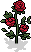 hobbies_c26_rose